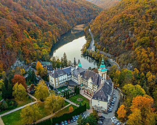 Business Opportunity